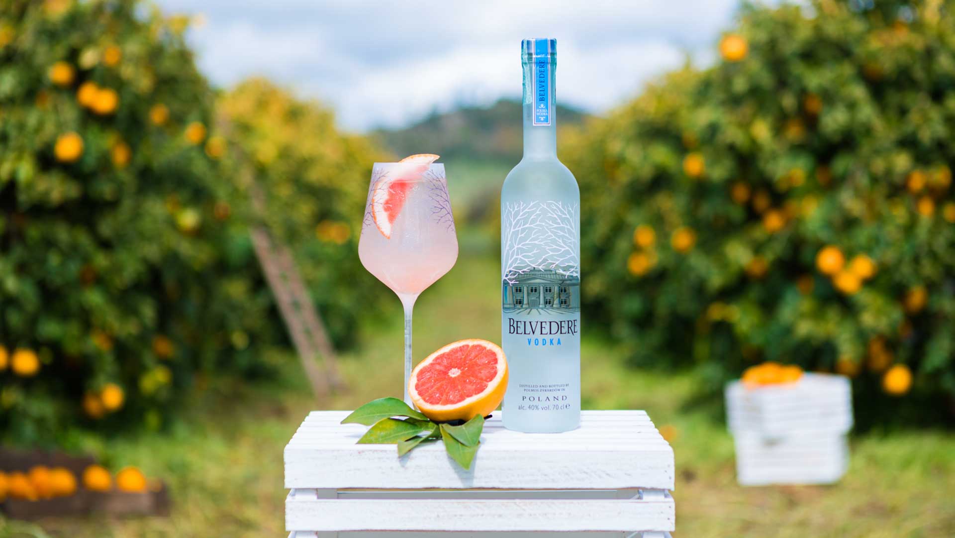 Gazebo Parts Direct Sales Store -Deutschland Getränke Verkäufe 2024 Ruby Tonic Belvedere ricetta cocktail Coqtail Milano